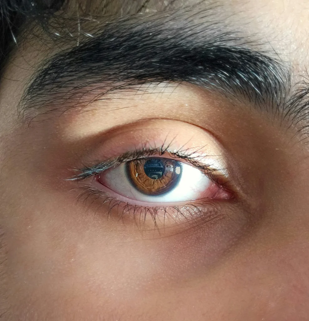 Lomelino Salud y Belleza salud ocular